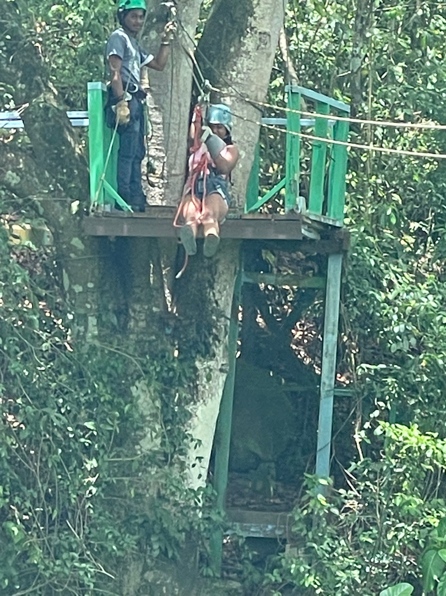 Antigua Ziplining and Beach Tour